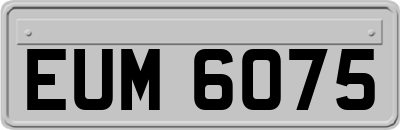 EUM6075