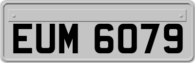 EUM6079