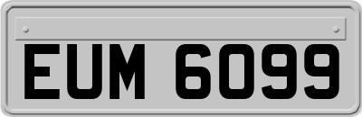 EUM6099
