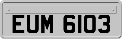 EUM6103