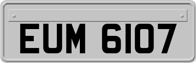 EUM6107
