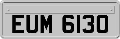 EUM6130