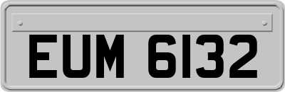 EUM6132