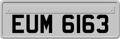 EUM6163