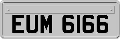 EUM6166