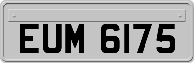 EUM6175