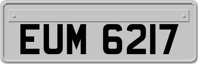 EUM6217