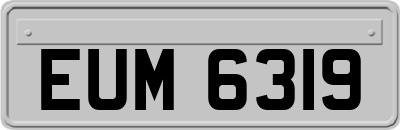 EUM6319