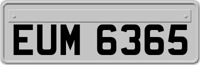 EUM6365