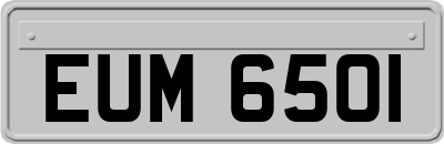 EUM6501