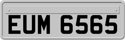 EUM6565