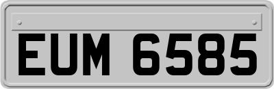 EUM6585