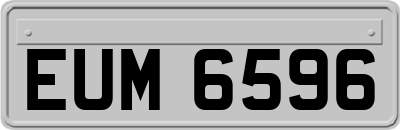 EUM6596