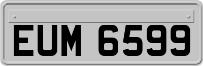 EUM6599