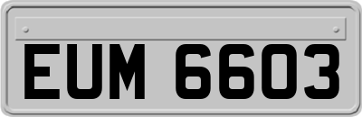 EUM6603