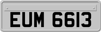 EUM6613