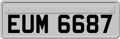 EUM6687