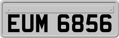 EUM6856