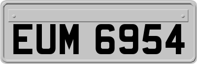 EUM6954