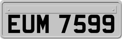 EUM7599