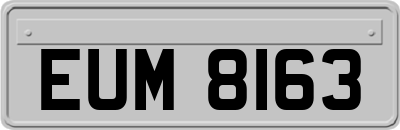 EUM8163