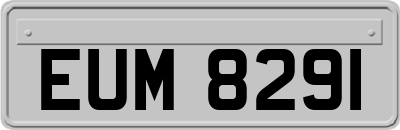 EUM8291
