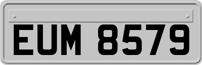 EUM8579