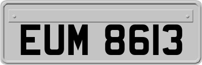EUM8613