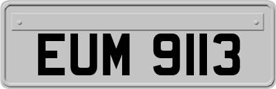 EUM9113