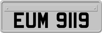 EUM9119