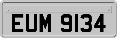 EUM9134