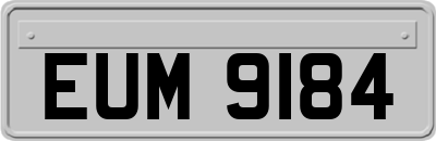 EUM9184