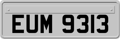 EUM9313