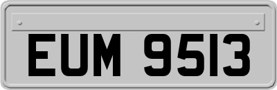 EUM9513