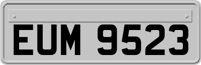 EUM9523