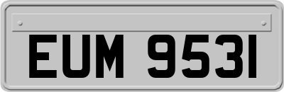 EUM9531