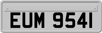 EUM9541