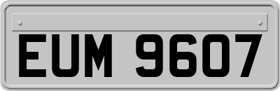 EUM9607