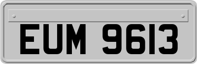 EUM9613