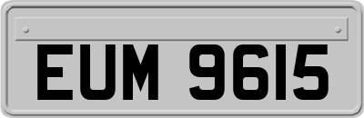 EUM9615
