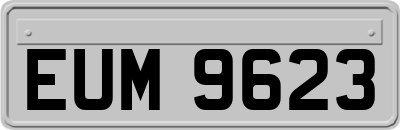 EUM9623