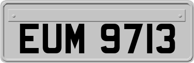 EUM9713