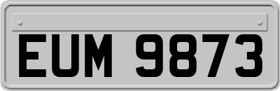 EUM9873