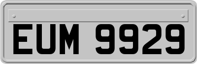 EUM9929