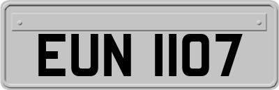 EUN1107