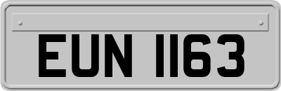 EUN1163
