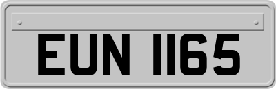 EUN1165