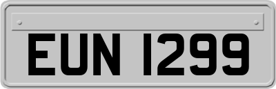 EUN1299