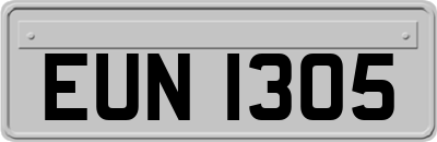 EUN1305