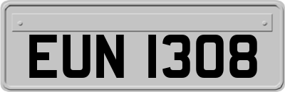 EUN1308
